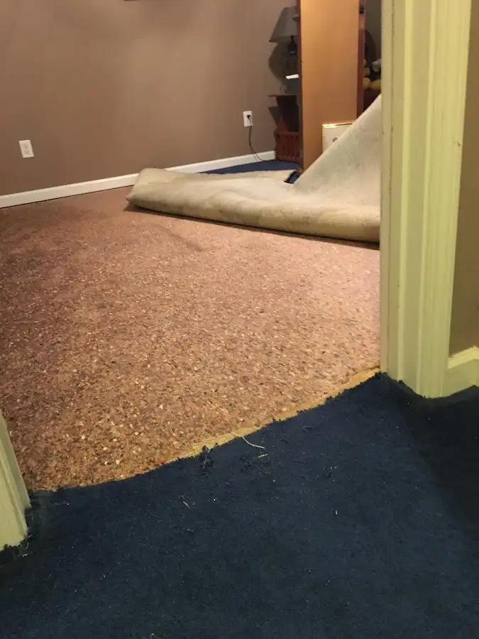 Carpet pad removal revealing water damage during Water Mitigation Services in Port Washington