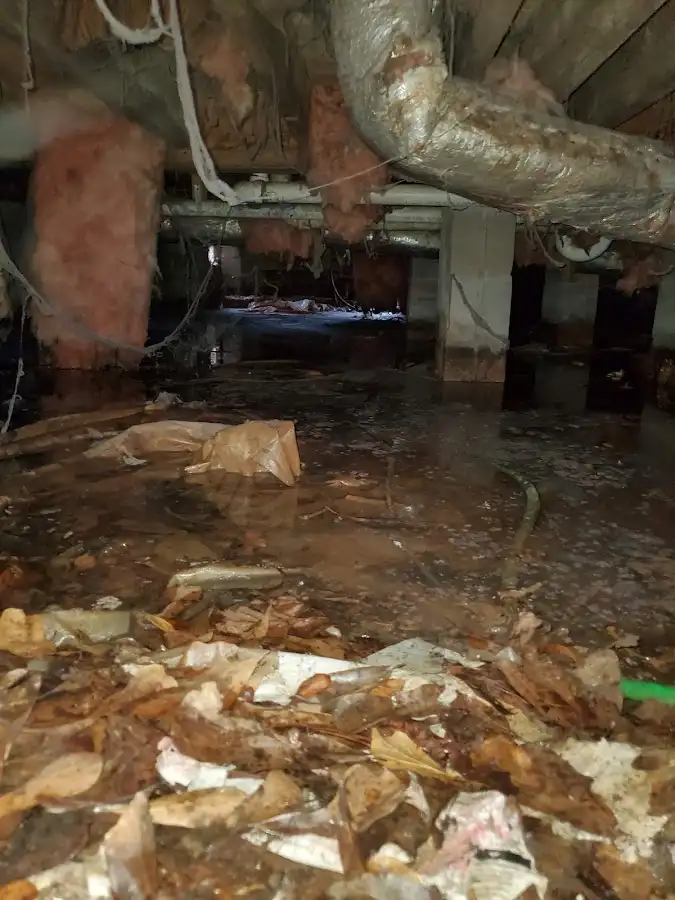 Crawl space flood assessment for Commercial Water Damage Restoration in Port Washington